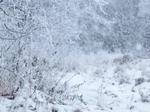Сильный снег по Нижегородской области ожидается 16 февраля с сохранением ночью и утром 17 февраля!